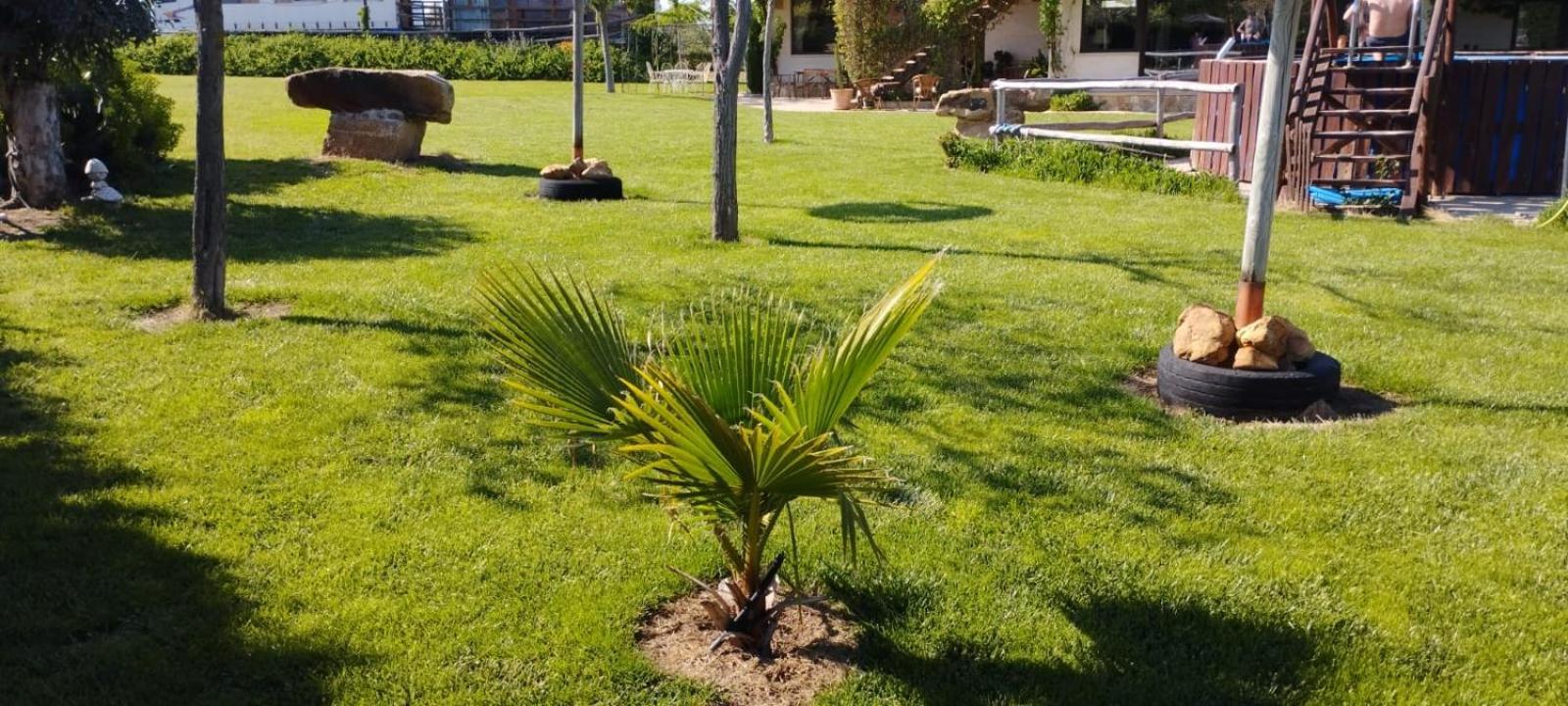 Finca Los Pajaros Cerca De Puy Du Fou Toledo Navahermosa  Εξωτερικό φωτογραφία